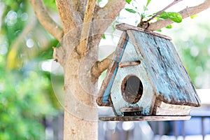 Bird House