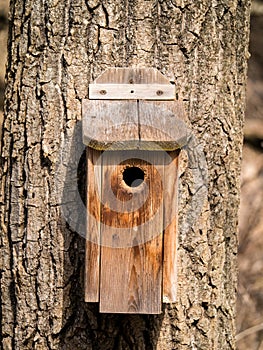 Bird house on tree