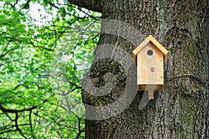 Bird house on a tree. Wooden birdhouse, nesting box for songbirds