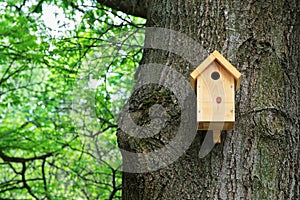 Bird house on a tree. Wooden birdhouse, nesting box for songbirds photo
