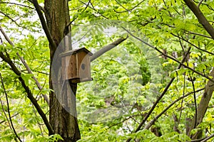 Bird house on a tree. Wooden birdhouse, nesting box for songbirds in park.