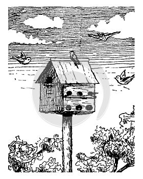 Bird House, vintage illustration