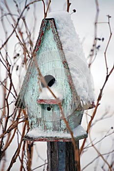 Bird House in Winter