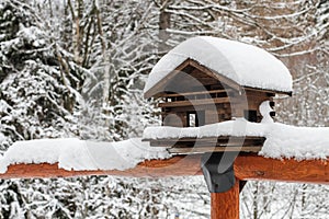Bird house in winter