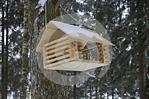 Bird house in winter.