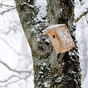 Bird house in the winter, hanging on the tree