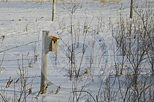 Bird House on the Winter Prairie