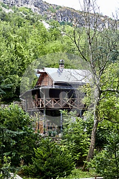 bird house in the woods