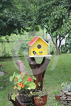 Bird house. yellow wooden houses for birds on a tree with flowers