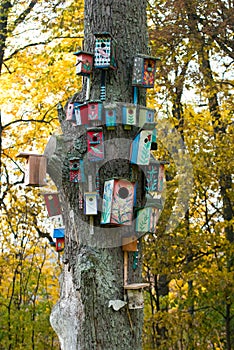 Bird houses