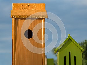 Bird houses decoration in evening sun