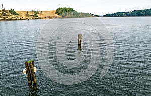 Bird houses on pilings in Coos Bay near North Bend, Oregon, USA