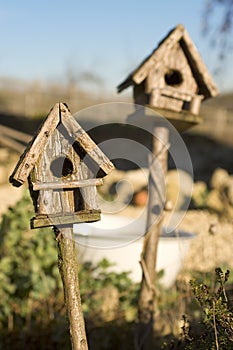 Bird Houses in Sunshine
