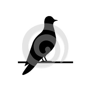 Bird icon. Black birds silhouette on branch. Vector isolated