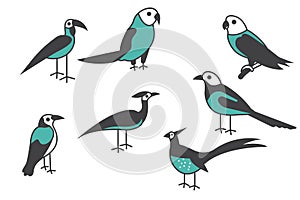 Bird icon. Set of different bird vector illustration