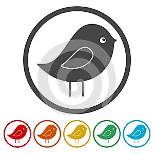 Bird Icons set Flat Graphic Design - Illustration