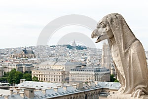 A Bird-Like Gargoyle of Notre Dame III