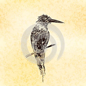 Bird in linocut retro style, vintage silhouette of bird on old paper