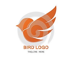 bird logo template