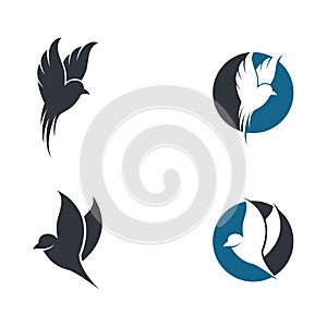 Bird logo template vector icon illustration