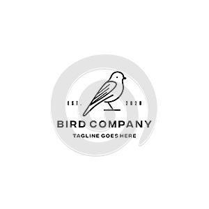 Bird logo vector design