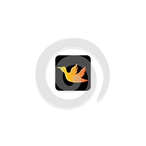 Bird logo vector icon