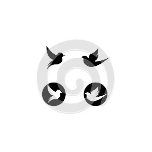 Bird logo vector icon