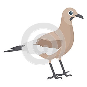 Bird, mimidae Vector Icon which can be edit or modified