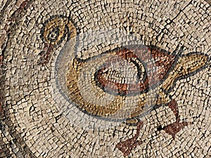 The Bird Mosaic is a mosaic floor in Caesarea, Israel