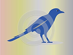 bird of murai logo vector