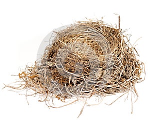 Bird nest