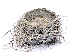 Bird nest 2