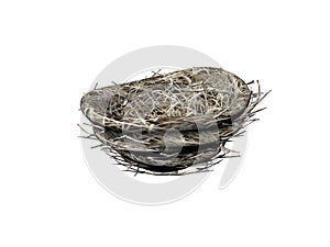 Bird Nest