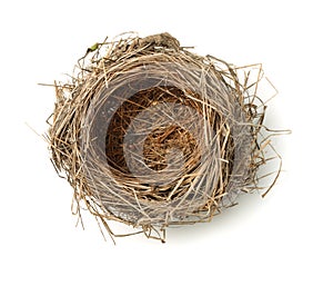 Bird nest