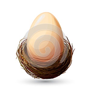 Bird Nest With Egg