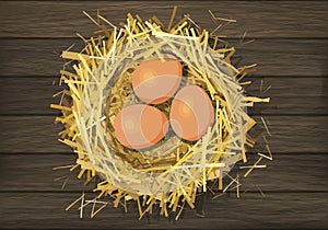 Bird nest with eggs