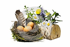 Bird nest, eggs, feather and spring flowers