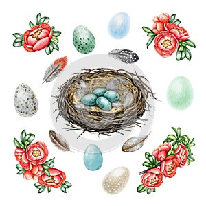 Bird nest, eggs, spring flowers decor painted set. Watercolor illustration. Hand drawn cozy springtime decoration