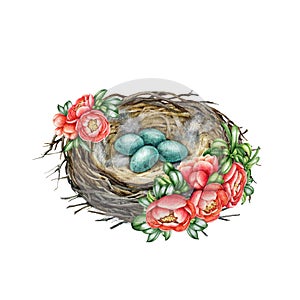 Bird nest with eggs with spring flowers decor. Watercolor painted illustration. Hand drawn cozy springtime decoration