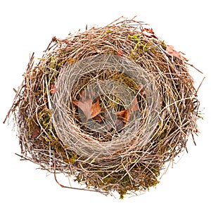 Bird-nest empty