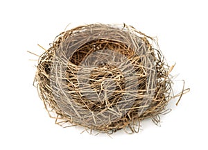 Bird nest photo