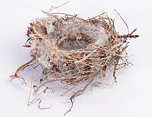 Bird nest An empty isolated on white background