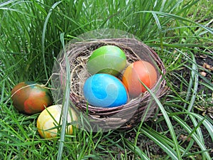 Bird nest full of Easter eggs lying on wooden board