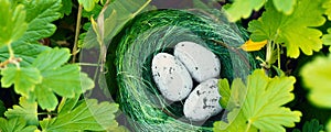 Bird nest in green grass with three eggs