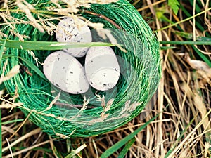 Bird nest in green grass with three eggs