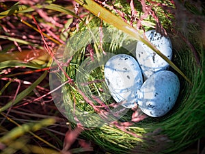 Bird nest in green grass with three eggs