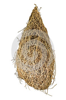 Bird nest isolated on white background