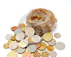 bird nest and old and new coins on white background