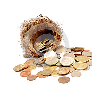 bird nest and old and new coins on white background