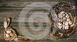 Bird nest with Quail eggs and feather in one side and rope coil with egg in other on rustic wood background